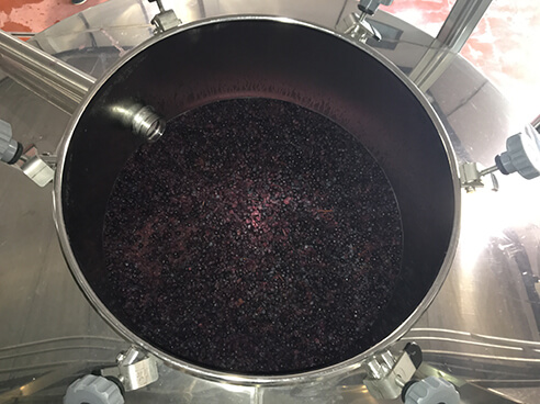 Maceration of harvested grapes