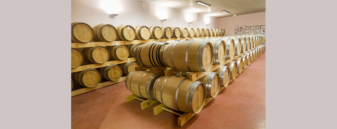 Cellar Mas Gabinèle containing the best wines