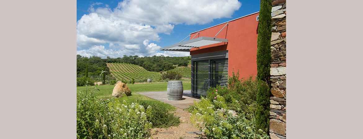 Mas Gabinèle sales cellar to welcome customers curious to discover the best wines in Béziers