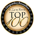 logo Top 100